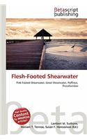 Flesh-Footed Shearwater: (English)