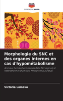 Morphologie du SNC et des organes internes en cas d'hypométabolisme