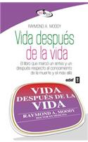 Vida Despues de La Vida
