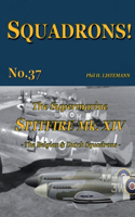 Supermarine Spitfire Mk XIV