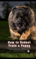 How tо Kennel Train а Puppy