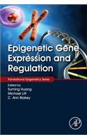 Epigenetic Gene Expression and Regulation