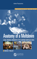Anatomy of a Meltdown