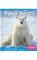 Polar Bears