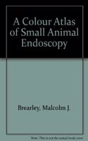 Essential Immunology Review