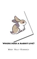 Where does a rabbit live?