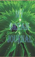 My Dream Journal