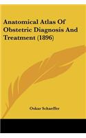 Anatomical Atlas Of Obstetric Diagnosis And Treatment (1896)
