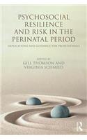 Psychosocial Resilience and Risk in the Perinatal Period