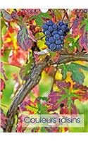 Couleurs Raisins 2017