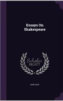 Essays On Shakespeare