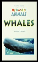 Whales