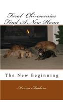 Feral Chi-weenies Find A New Home: The New Beginning