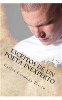 Escritos de un poeta inexperto