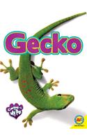 Gecko: (Caring for My Pet)