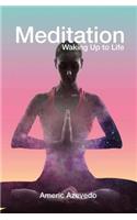 Meditation: Waking Up to Life