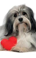 Havanese January Notebook & Journal. Productivity Work Planner & Idea Notepad: Brainstorm Thoughts, Self Discovery, To Do List