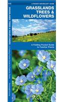 Grasslands Trees & Wildflowers: A Folding Pocket Guide to Familiar Species(Pocket Naturalist Guide Series)