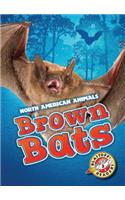 Brown Bats: (North American Animals)