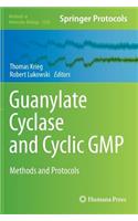 Guanylate Cyclase and Cyclic GMP