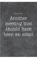 I survived another meeting
