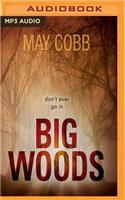 Big Woods