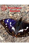 Purple Emperor Sketchbook: (Sketchbook for Teens)
