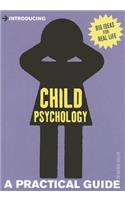 Introducing Child Psychology: A Practical Guide(Practical Guide Series)