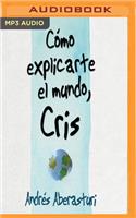 Cómo Explicarte El Mundo, Cris: Testimonio de la Vida Con Mi Hijo