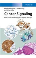 Cancer Signaling