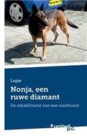 Nonja, Een Ruwe Diamant