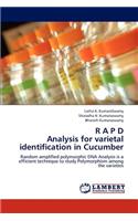 R A P D Analysis for varietal identification in Cucumber