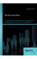 Die EU in der Krise: Wie hat sich der Integrationswille ausgewählter Mitgliedsstaaten durch die Krise verändert?(German)