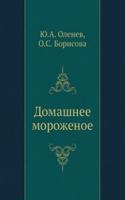Domashnee morozhenoe