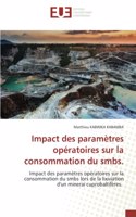 Impact des paramètres opératoires sur la consommation du smbs.