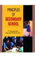 Principles Of Secondary School
