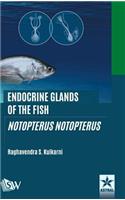 Endocrine Glands of the Fish