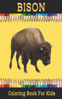 Bison Coloring book for Kids