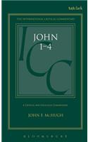 John 1-4 (ICC)