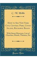 How to See New York City, Central Park, Coney Island, Rockaway Beach: With Street Directory, List of Churches, Hotels, Theatres, Etc (Classic Reprint)