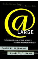 At Large: The Strange Case of the World's Biggest Internet Invasion