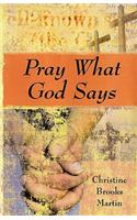 Pray What God Says