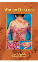 Wound Healing