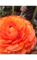 Ranunculus Gardening Journal