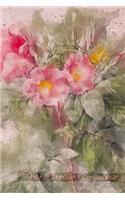 Rosa Carolina Corymbosa: Floral Notebook with Flower Illustrations on Every Page