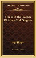 Scenes in the Practice of a New York Surgeon
