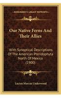 Our Native Ferns And Their Allies: With Synoptical Descriptions Of The American Pteridophyta North Of Mexico (1900)(English)