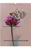 Les Papillons De La Sainte-Baume 2017