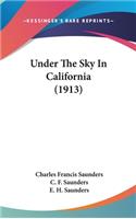 Under The Sky In California (1913)