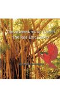 The Adventures of Cammy the Red Dot Gecko